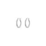 Σκουλαρίκια Links ατσάλινα κρίκοι 2.5 cm