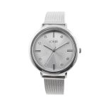 Ρολόι Polish με ατσάλινο mesh band και ασημί καντράν